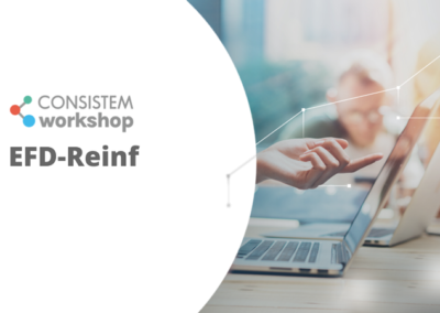 Consistem Workshop – EFD-Reinf